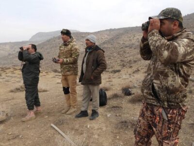 آغاز شمارش حیات وحش دنای شرقی در سرمای زمستان