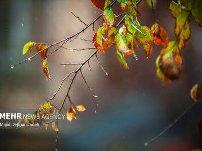 احمدی نژاد: سامانه بارشی با هسته سرد وارد ایلام شد