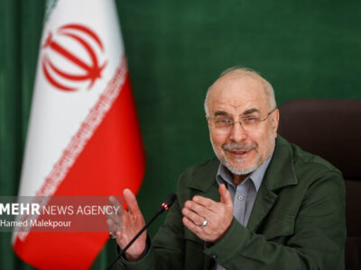 تاکید رئیس مجلس بر ضرورت کار کارشناسی در بررسی لایحه بودجه