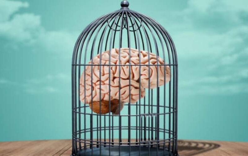 تصلب شناختی و انعطاف‌پذیری ذهن