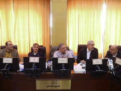 حضور مدنی زاده و فرزین در جلسه امروز کمیسیون اقتصادی مجلس