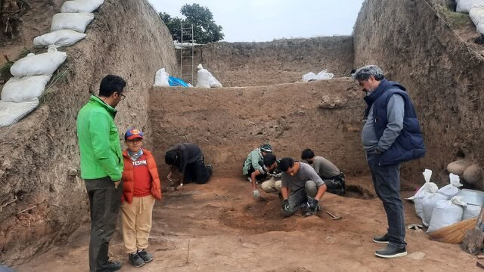 شکفتن دانه برنج ۳ هزار ساله در کاوش‌های قلعه‌کِش آمل