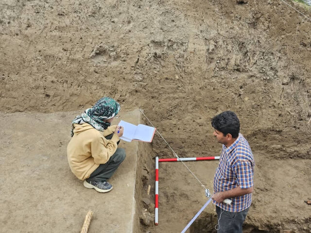 شکفتن دانه برنج ۳ هزار ساله در کاوش‌های قلعه‌کِش آمل