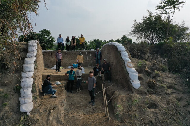 شکفتن دانه برنج ۳ هزار ساله در کاوش‌های قلعه‌کِش آمل