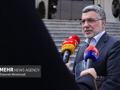 ظفرقندی: سهم ارز دارو افزایش می یابد