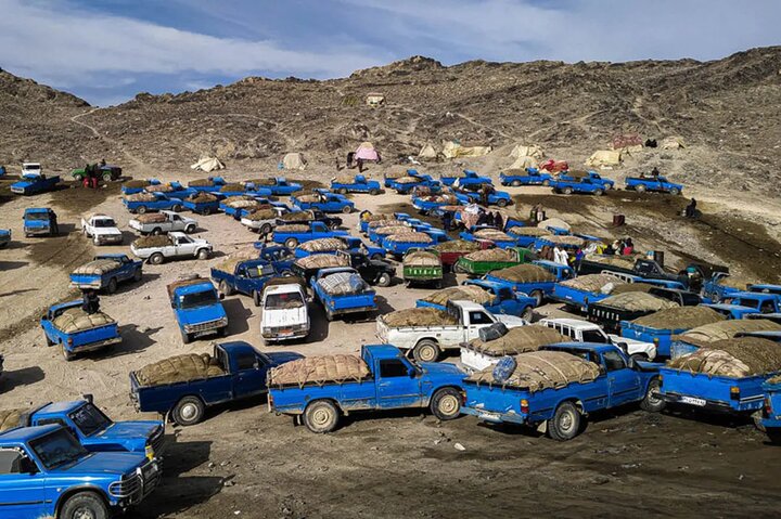 عملیات ضربتی پلیس هرمزگان علیه قاچاقچیان سوخت