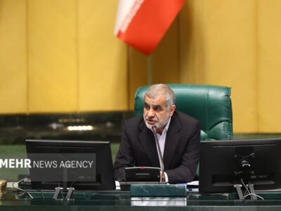 نیکزاد: مجلس یکشنبه تعطیل نیست