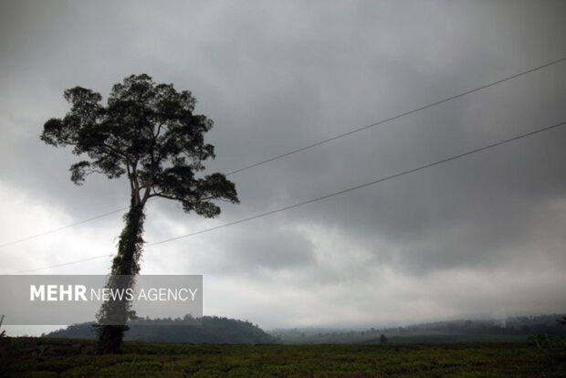 هوای مازندران صاف تا نیمه ابری است