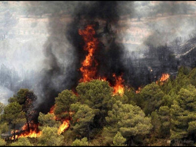 وزش باد گرم در گیلان از ظهر شنبه؛ منابع طبیعی هشدار داد