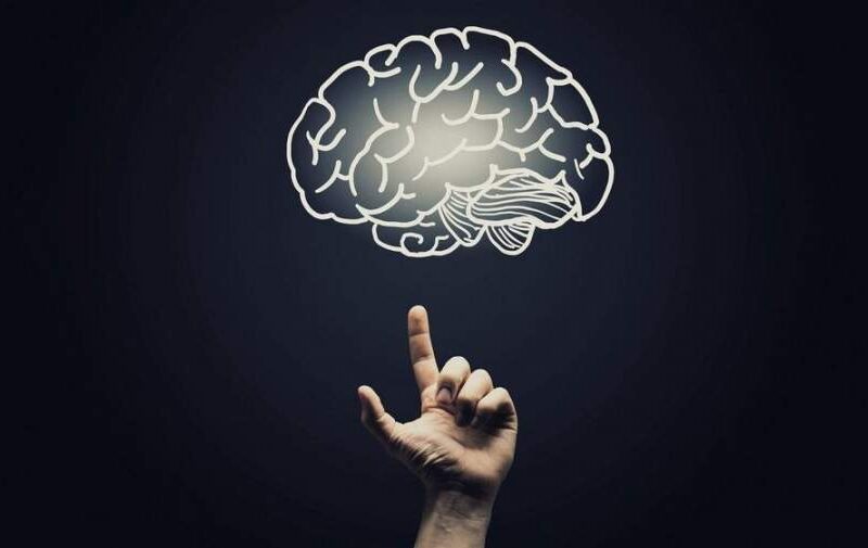 کاتاتونیا (Catatonia) چیست ؟