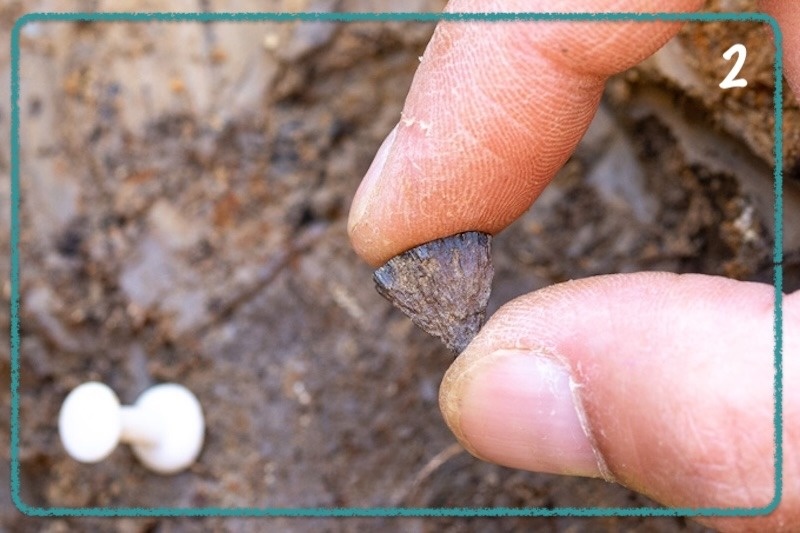 ۱۰ کشف برتر باستان شناسی جهان در سال ۲۰۲۵ ۱۰ کشف برتر باستان شناسی جهان در سال ۲۰۲۵