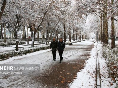 داداشی: بارش سال گذشته خراسان شمالی ۷.۶ میلی‌متر بیشتر بود