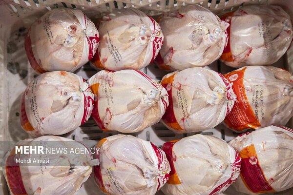 زارعی:نظارت روزانه بر بازار گناباد تشدید شد؛قیمت مرغ ۱۶۵ هزار تومان