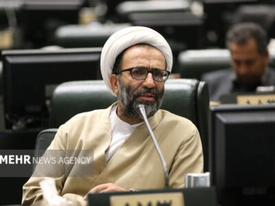 سلیمی: تمرکز دولت مهار قیمت ها باشد