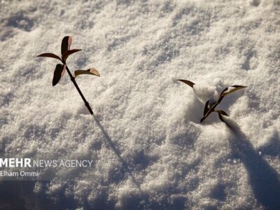 قربانپور: ورود موج بارشی جدید به آذربایجان غربی؛ بارش ها تداوم دارد