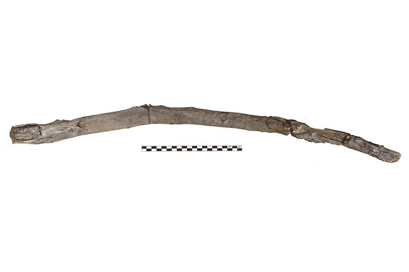 کشف ابزارهای چوبی ۴۳۰ هزار ساله در یونان