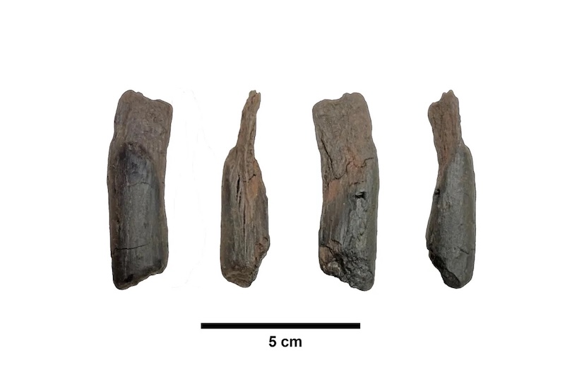 کشف ابزارهای چوبی ۴۳۰ هزار ساله در یونان