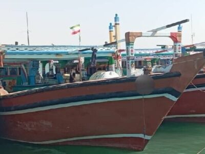 کشف محموله سموم کشاورزی قاچاق در بندرلنگه