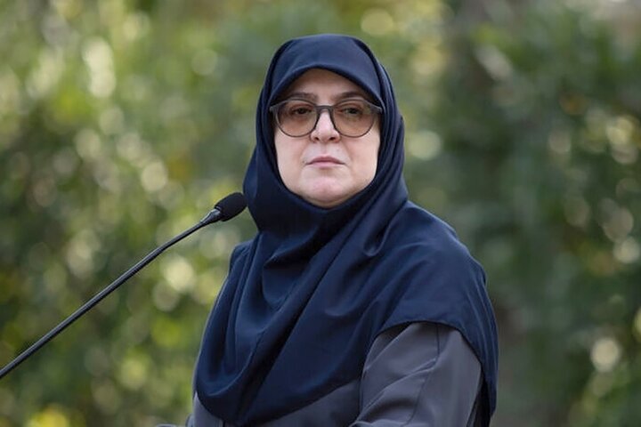 اساسنامه سازمان بهینه‌سازی مصرف انرژی به تصویب رسید