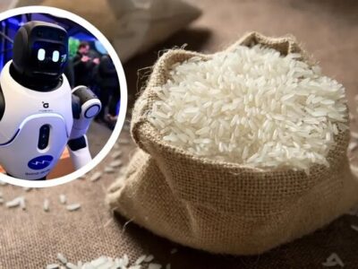 استفاده از برنج در ساخت روباتها و تجهیزات مقاوم در برابر ضربه