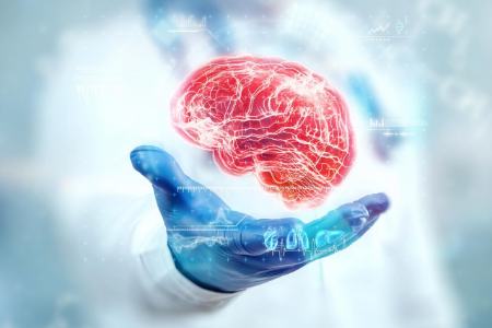 مغز،اخبار پزشکی،خبرهای پزشکی مغز،اخبار پزشکی،خبرهای پزشکی