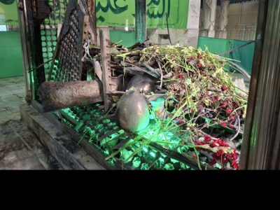 برگزیدگان کنگره ملی شعر سبز قبا معرفی شدند