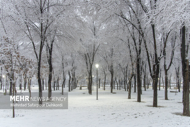 بوران برف و رعد و برق در شهر سهند