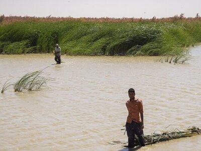 تشکیل ستاد هماهنگی و مدیریت تالاب‌های کشور در سطح ملی