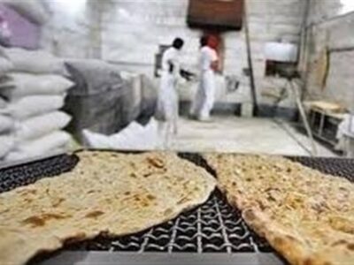 تعزیرات: سهمیه آرد دولتی نانوایان متخلف، قطع می‌شود