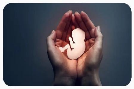 سقط جنین،اخبار پزشکی،خبرهای پزشکی سقط جنین،اخبار پزشکی،خبرهای پزشکی