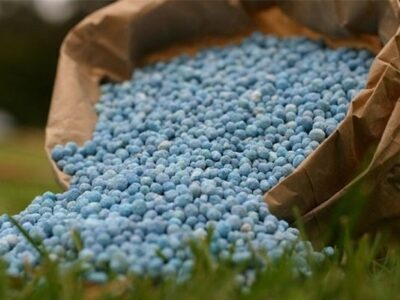 خیراندیش: ۴۵۰۰ تُن کود شیمیایی میان کشاورزان در لنگرود توزیع شد