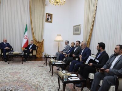 دیدار لاریجانی با وزیر انرژی روسیه