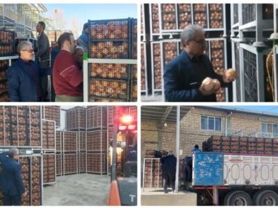 ذخیره‌سازی میوه شب عید و خرمای رمضان در کرمانشاه تشدید شد