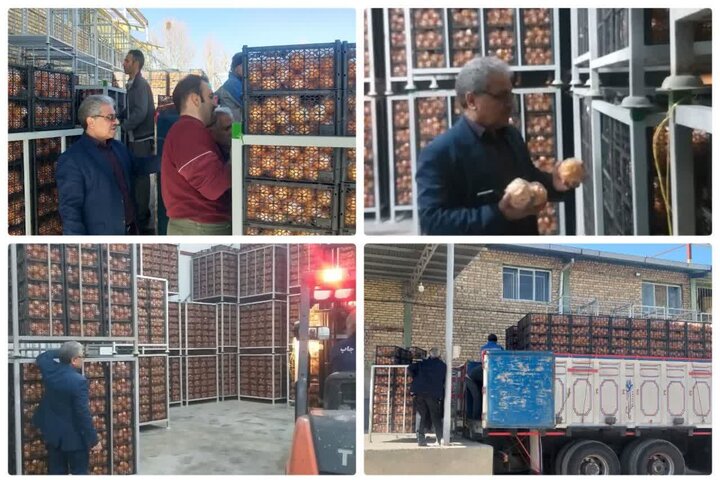 ذخیره‌سازی میوه شب عید و خرمای رمضان در کرمانشاه تشدید شد