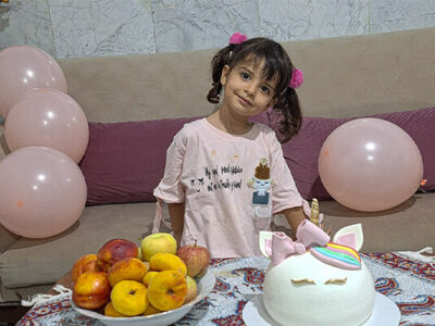 سردار وحیدی: شهادت «ملینا» سند جنایت رژیم صهیونیستی است