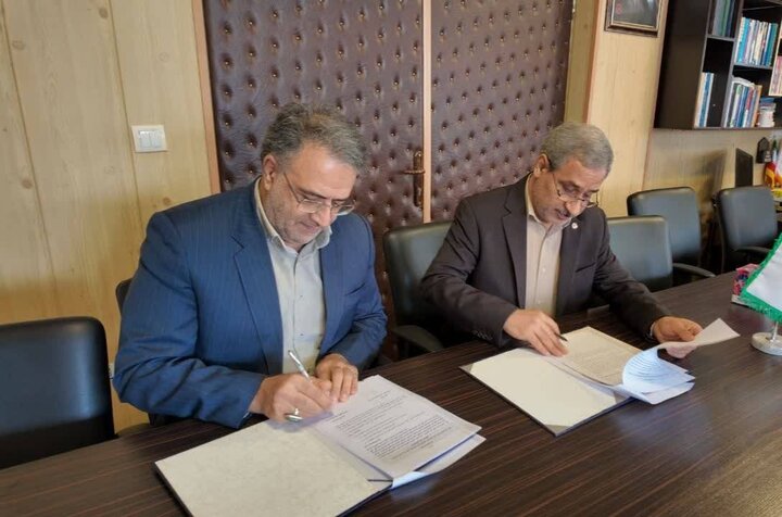 شهسواری: خدمات اورژانس اجتماعی بهزیستی در مدیریت بحرانها مؤثر است