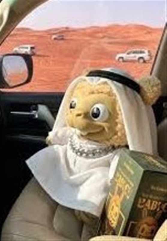 عروسکی که یک شبه ره صد ساله را طی کرد اسباب بازی , صنایع فرهنگی , کشور امارات متحده عربی , عربستان سعودی ,