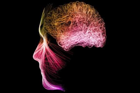 مدیتیشن فعالیت مغز را تغییر می‌دهد