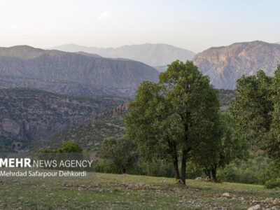 مهار آتش در زاگرس؛ وقتی مدیریت و مشارکت مردمی بر بحران غلبه می‌کند