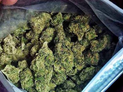 ناکامی قاچاقچی مواد مخدر در انتقال ۴۷ کیلوگرم ماده مخدر گراس