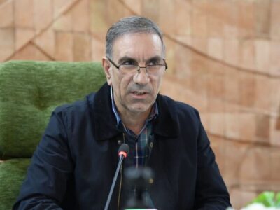 نجفی: رونق تولید روستایی با پرداخت تسهیلات کم‌بهره دنبال می‌شود