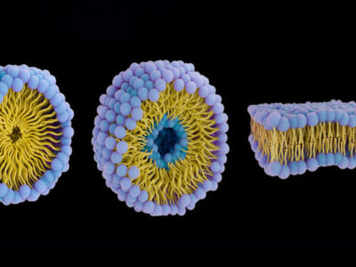 نسل جدید ربات‌ها که مانند زیردریایی در بدن شنا می‌کنند