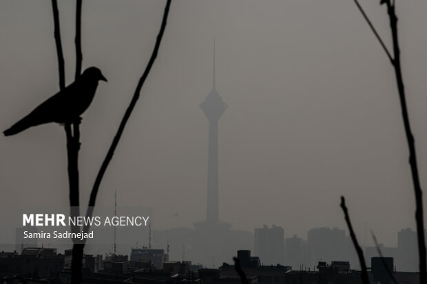 هوای تهران آلوده است