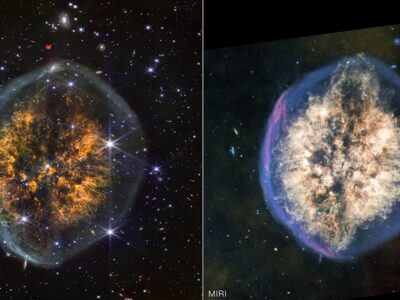 پرتره مرگ یک ستاره در قالب مغز انسان؛ هنرنمایی بی‌نظیر تلسکوپ جیمز وب