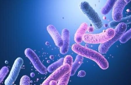 پروبیوتیک،اخبار پزشکی،خبرهای پزشکی پروبیوتیک،اخبار پزشکی،خبرهای پزشکی