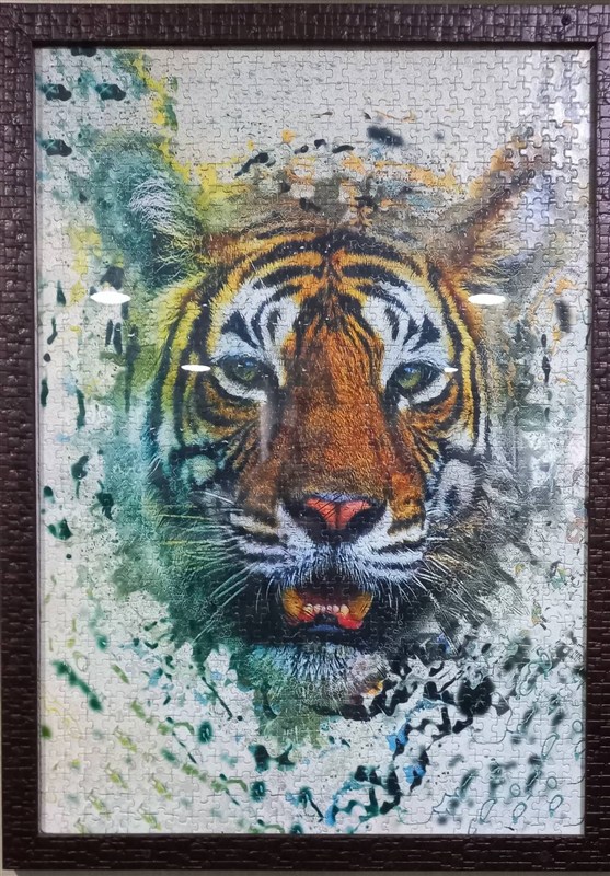 ناوشکن دنا , کتاب , علی‌اصغر عزتی پاک , 