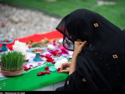 سین هشتم، ستیز با ماشین نیستی