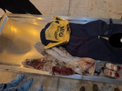 مظلومیت این عکس را چطور می‌توان توجیه کرد؟