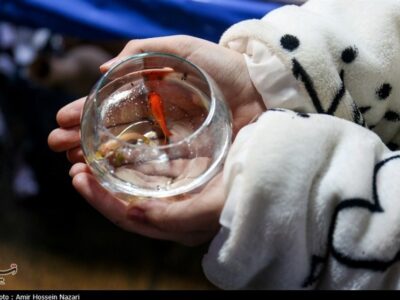 نوروز 1405؛ فرصتی برای بسط خودآگاهی ملی ایرانیان