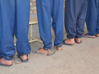 باند سرقت از باغات و اماکن خصوصی  فلاورجان متلاشی شد